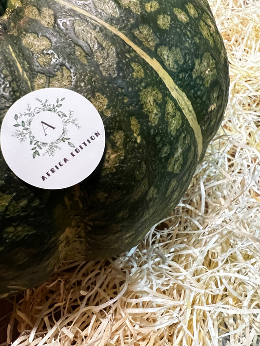 Zucca SAFARI AFRICA Edition [al pezzo - 2 kg c.a.]