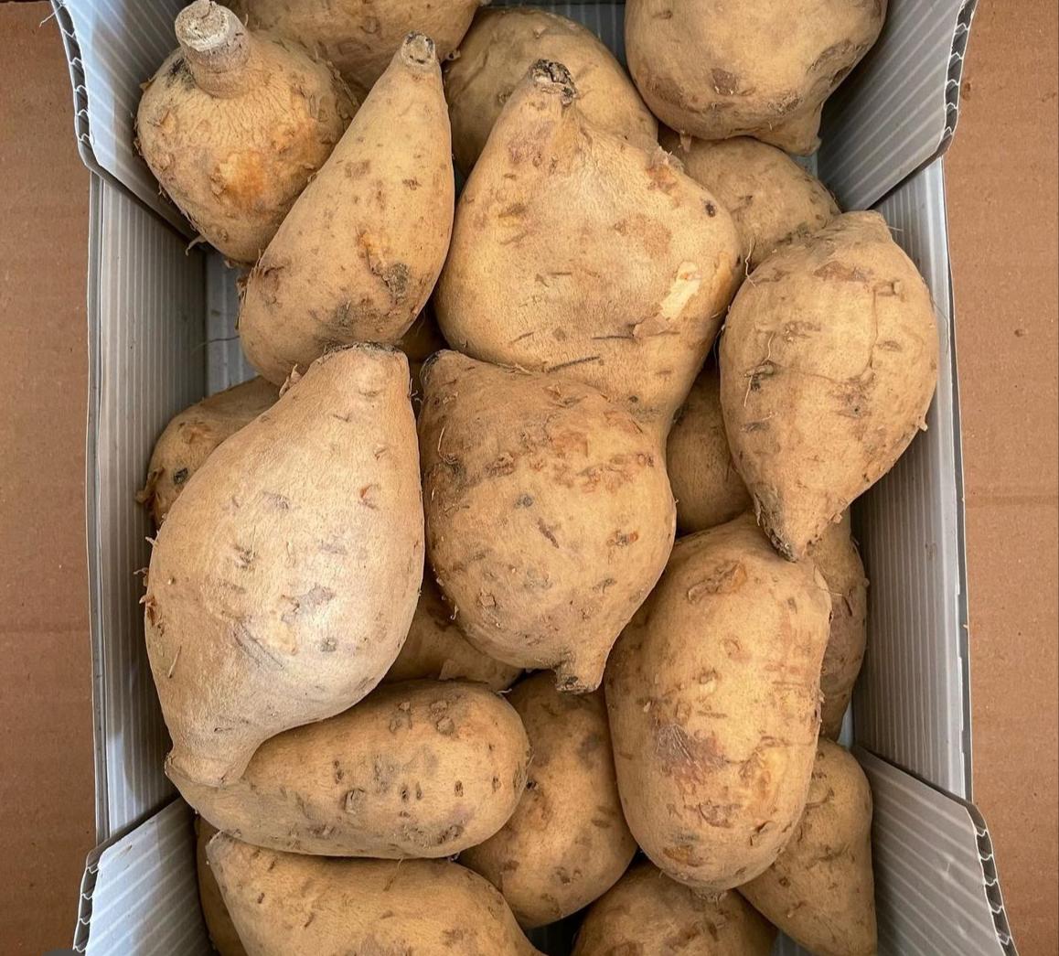 2,99€ AL KG    PERLE DI PATATE BIANCHE AMERICANE DALLA POLPA FARINOSISSIMA BOX DA 7,5kg