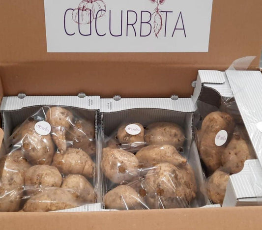 2,99€ AL KG    PERLE DI PATATE BIANCHE AMERICANE DALLA POLPA FARINOSISSIMA BOX DA 5kg