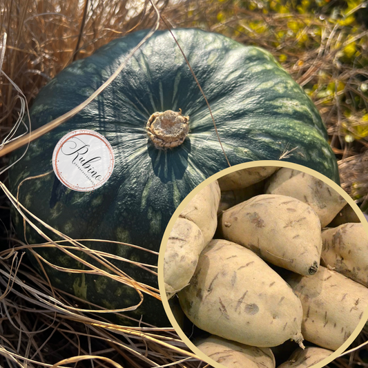 1kg di PATATE DOLCI A PASTA BIANCA + 3 ZUCCHE MESSICO RUBINO [7.5 Kg ca.]